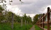 Trail On foot Aalst - Kersenwandeling - Photo 5
