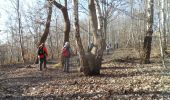 Tour Wandern Saint-Jacques-sur-Darnétal - 20220118-St Jacques sur Darnétal - Photo 12