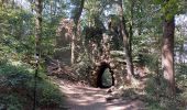 Trail Walking Liège - Balade dans le bois de Fayenbois - Photo 1
