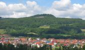 Percorso A piedi Ehrenberg - Wüstensachsen, Rundweg 10 - Photo 4