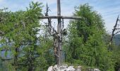 Trail On foot Ramsau bei Berchtesgaden - Almerlebnispfad - Photo 2