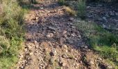 Trail Walking Roquebrune-sur-Argens - z Malvoisin 07-11-23 - Photo 2