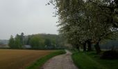 Trail Walking Court-Saint-Étienne - arbre de la justice et pâturage - Photo 1