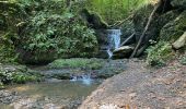 Excursión Senderismo Hastière - GRP 125 : Les crêtes de la Meuse (Hastière) - Photo 11