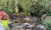 Tour Wandern Érezée - EREZEE SOUS LE BOIS - Photo 6