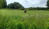 Tocht Stappen Raismes - Mare à Goriaux - Photo 5