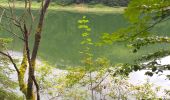 Excursión Senderismo Villers-le-Lac - barrage chatelot saut du doubs le pissoux - Photo 15