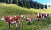 Tocht Stappen Septmoncel les Molunes - mo sentier des lapidaires - Photo 7