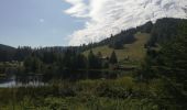 Tocht Stappen La Bresse - Lac de Lispach longemer feigne - Photo 2