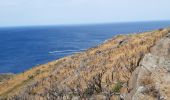 Trail Walking Port-Vendres - port vendre . cap bear / retour  - Photo 13