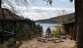 Tour Wandern Forbach - Rote Lache - Lac Schwarzenbachstausee - Badener Höhe (Rother n°39) - Photo 5