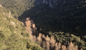 Excursión Senderismo Cesseras - La Cesse à Cesseras par la Balme rouge, Vieulac, le moulin d'Azam - Photo 1