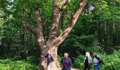 Trail Walking Montlignon - Le chateau de la chasse - Photo 9