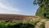 Tour Wandern Heers - Wikiloc Hornebos  (PVDB) - Photo 11