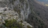 Trail Walking Plan-d'Aups-Sainte-Baume - Sainte Baume 8,5 km - Photo 4