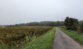 Tour Wandern Bourgueil - Bourgueil le Picard - GRP Coteaux de Bourgueil - 24.3km 325m 5h25 (45mn) - 2024 10 30 - Photo 4