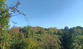 Tour Wandern Sprimont - dans la campagne de Florzé Sprimont  - Photo 12