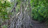 Tour Wandern Le Robert - randonnée pointe banane - Photo 2