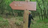 Tocht Stappen Sainte-Agnès - Mont Ours - Photo 10