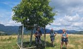 Tour Wandern Ranspach - Rando des Marcheurs 20/07/2023 - Photo 5