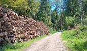 Tocht Stappen Saint-Vit - saint vit - velesmes-essarts /  autour du bois des saussottes - Photo 15