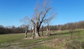 Randonnée Marche Somme-Leuze - dessus vieille -leuze au bochetay - Photo 8