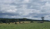 Trail Walking Habay - rando moulin d anlier 31/07/2021 - Photo 11