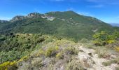 Trail Walking Peille - Peille : Cime du Baudon et Mont Ours - Photo 19