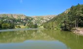 Trail Walking Orbey - Circuit des 2 lacs : lac du Forlet et lac Vert - Photo 9