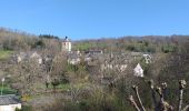 Tocht Stappen Saint-Chély-d'Aubrac - Compostelle St chely St come d'olt - Photo 18