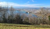 Randonnée Marche Annecy - Boucle  VEYRIER - Photo 8