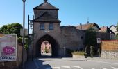 Percorso Marcia Dambach-la-Ville - Dambach - châteaux du Bernstein, de l'Ortenbourg et du Ramstein - Photo 1