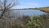 Tour Wandern Fréjus - etangs de villepey et collines - Photo 18