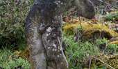 Excursión A pie Contern - Natur-Kulturpad Conter-Syren - Photo 9