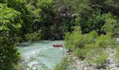 Randonnée Marche Rougon - Rancoumas - Photo 2