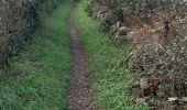 Trail Walking Erdeven - PR_56_Erdeven_CB_04_Sentier-Des-Villages-Sd_Circuit1b_20231031 - Photo 4