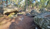 Randonnée Marche Fontainebleau - Fontainebleau sentier Denecourt 3 - Photo 3