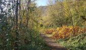 Trail Walking Seyssins - Boucle Covid sur les berges sud du Drac - Photo 3