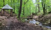 Trail Walking Spa - les eaux au sud de Spa  - Photo 11