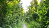 Tocht Stappen Lelystad - Groene Velden 4 km - Photo 2