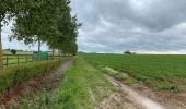 Percorso Marcia Heuvelland - Nieuwekerke Bailleul 17,5 km - Photo 4