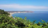 Randonnée Marche Plévenon - du Fort La Latte au Cap Fréhel - Photo 7