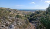 Tocht Noords wandelen Gruissan - Le massif de la Clape Gruissan - Photo 18