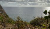 Tour Wandern Sainte-Marie - Belle étoile  vers la pointe Lahoussaye par Anse du four - Photo 6