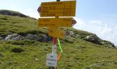 Trail On foot Surses - Julier, La Veduta-Furcia Grevasalvas-Plaun da Lej - Photo 6