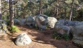 Tocht Stappen Fontainebleau - Fontainebleau gorges de Franchard - Photo 8