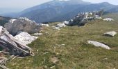 Trail Walking Mantet - col de mantet - Photo 3