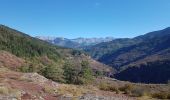 Excursión Senderismo Daluis - Gorges du Daluis vu du haut - Photo 5