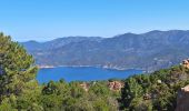 Excursión Senderismo Piana - tour des châtaigniers de palani - Photo 6