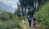 Trail Walking Durbuy - Oppagne - Photo 5